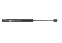 Gas spring, trunk