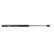 Gas spring, trunk