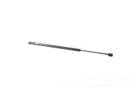 Gas spring, trunk
