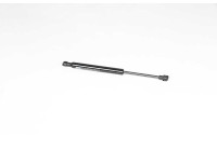 Gas spring, trunk