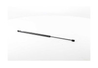Gas spring, trunk