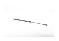 Gas spring, trunk