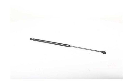 Gas spring, trunk