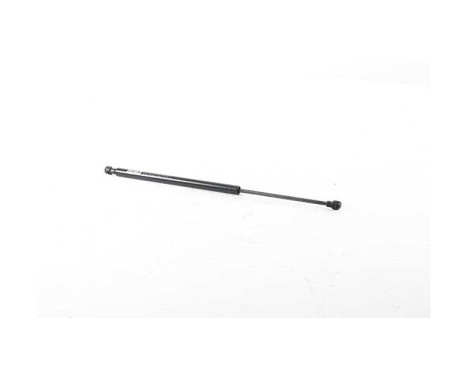 Gas spring, trunk