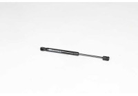 Gas spring, trunk