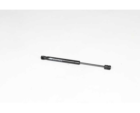 Gas spring, trunk