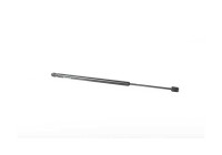 Gas spring, trunk