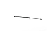Gas spring, trunk