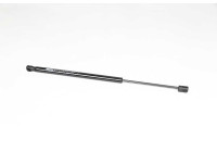 Gas spring, trunk