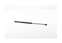 Gas spring, trunk