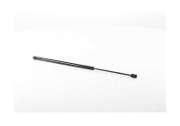 Gas spring, trunk
