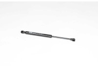 Gas spring, trunk
