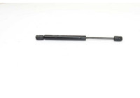 Gas spring, trunk