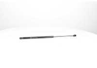 Gas spring, trunk