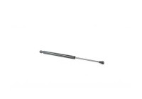 Gas spring, trunk