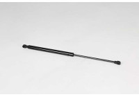 Gas spring, trunk