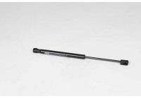 Gas spring, trunk