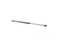 Gas spring, trunk