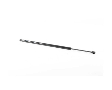 Gas spring, trunk