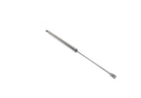Gas spring, trunk
