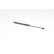 Gas spring, trunk, Thumbnail 2