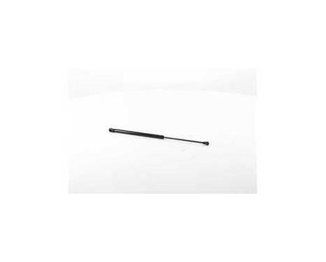 Gas spring, trunk, Image 2