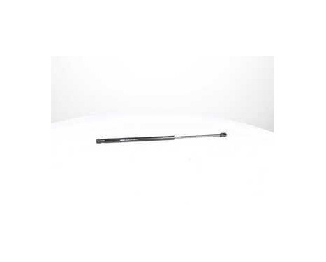 Gas spring, trunk, Image 2