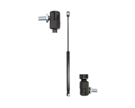 Gas spring, trunk