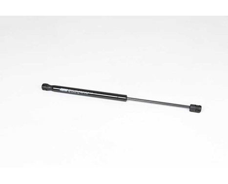 Gas spring, trunk