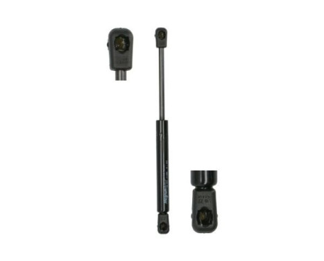 Gas spring, trunk