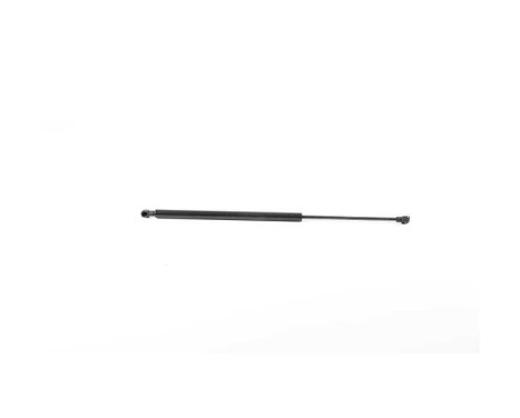 Gas spring, trunk, Image 2