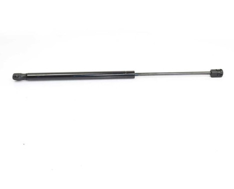 Gas spring, trunk, Image 2