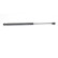 Gas spring, trunk, Thumbnail 2
