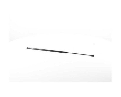 Gas spring, trunk, Image 2