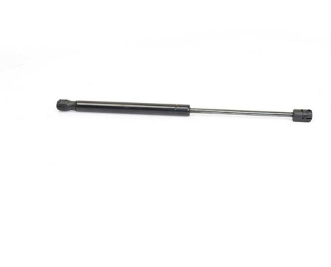 Gas spring, trunk, Image 2