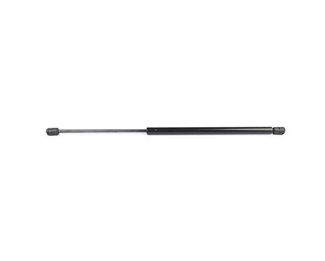 Gas spring, trunk, Image 2