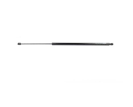 Gas spring, trunk, Image 2