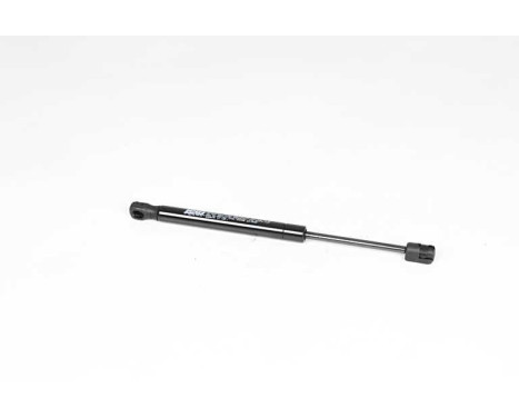 Gas spring, trunk, Image 2