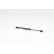 Gas spring, trunk, Thumbnail 2