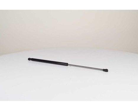 Gas spring, trunk, Image 2