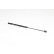 Gas spring, trunk, Thumbnail 2