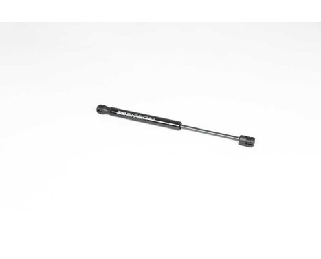 Gas spring, trunk, Image 2