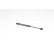 Gas spring, trunk, Thumbnail 2