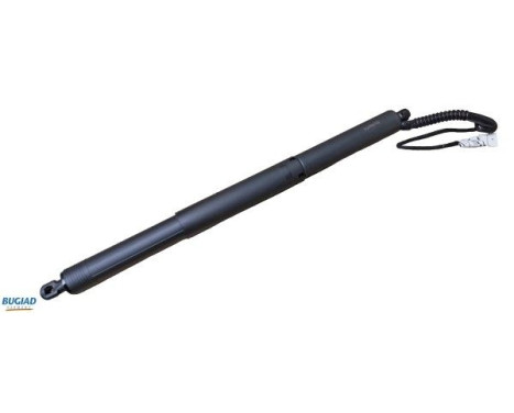 Gas spring, trunk