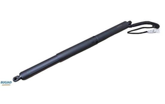 Gas spring, trunk