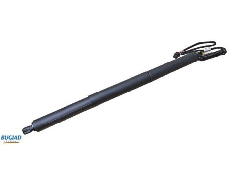 Gas spring, trunk