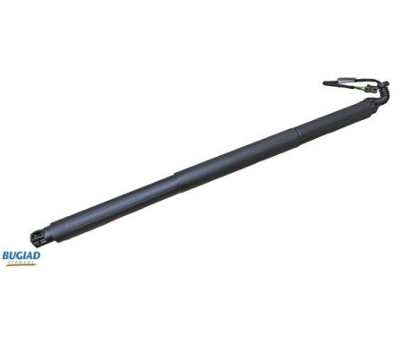 Gas spring, trunk