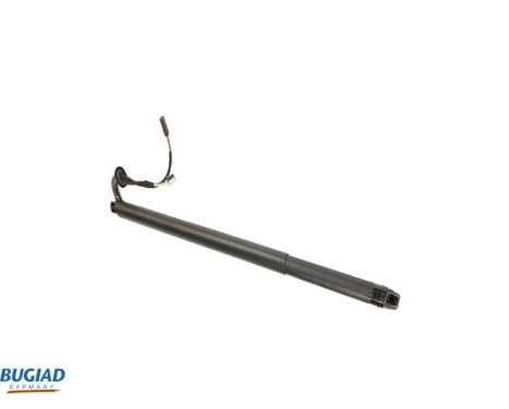 Gas spring, trunk