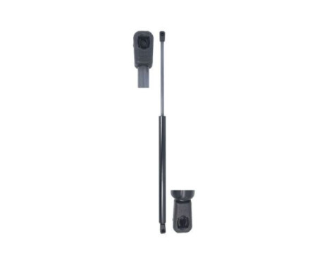 Gas spring, trunk
