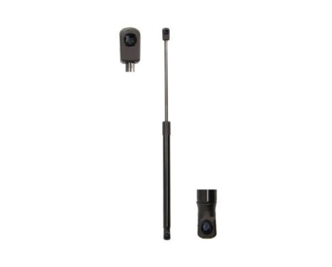 Gas spring, trunk